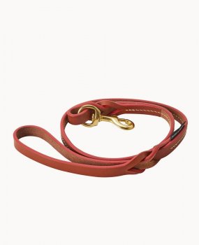 Dooney Dog Leash Tan ID-bQ6kfRqo